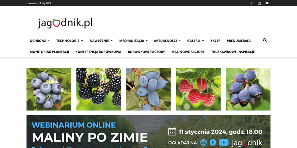 Jagodnik